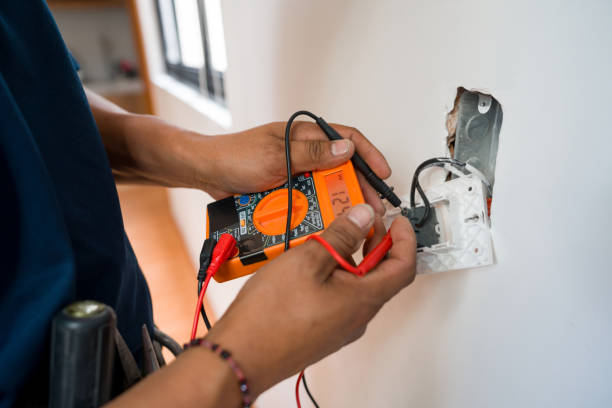 Best Electrical System Inspection  in Sparta, MI
